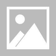 【法甲】图卢兹vs蒙彼利埃首发阵容名单(2025年01月27日)